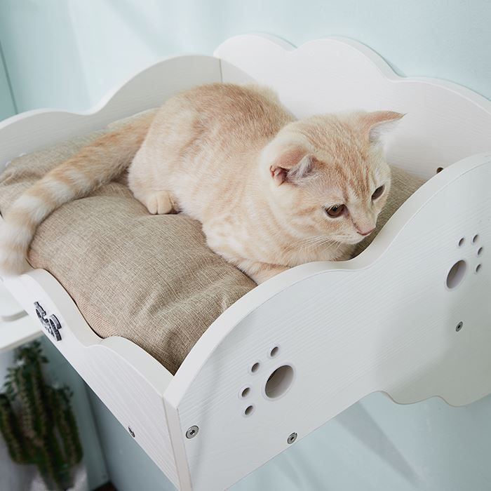 Liege- & Schlafplätze: CatS Design "Wandpark" Wandbett – Neu und originalverpackt aus Mönchengladbach von Zoopplier 2