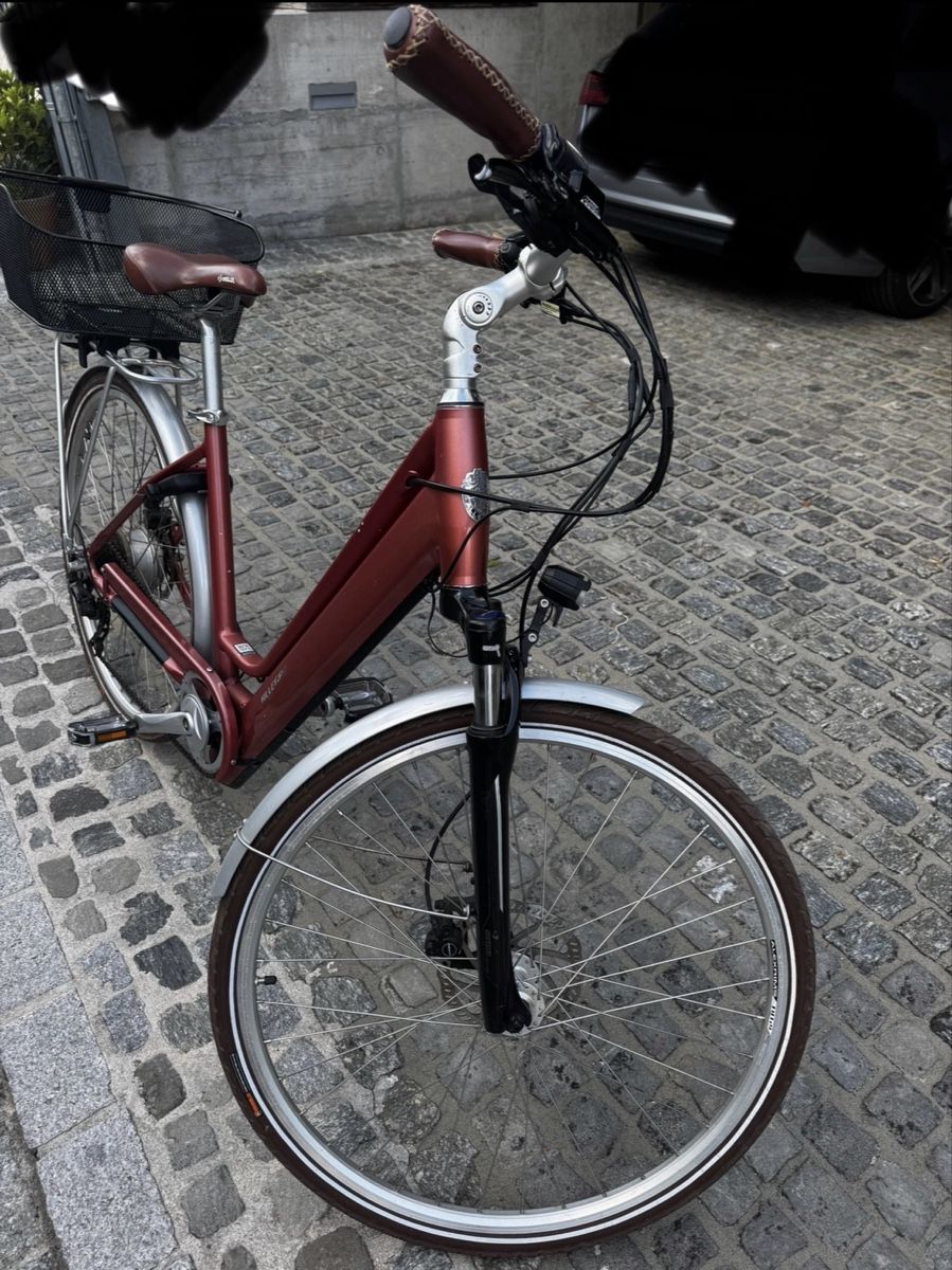Biciclette: E-Bike City Allegro ACIL – Usato da Wallbach venduto da premiumcc999 1