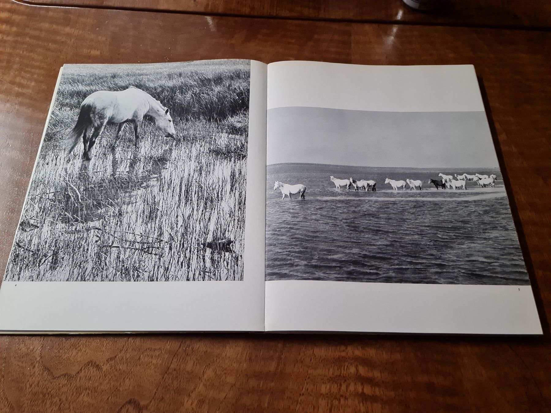 Bücher: CAMARGUE – Gebraucht aus Erstfeld von Uhu1980 2