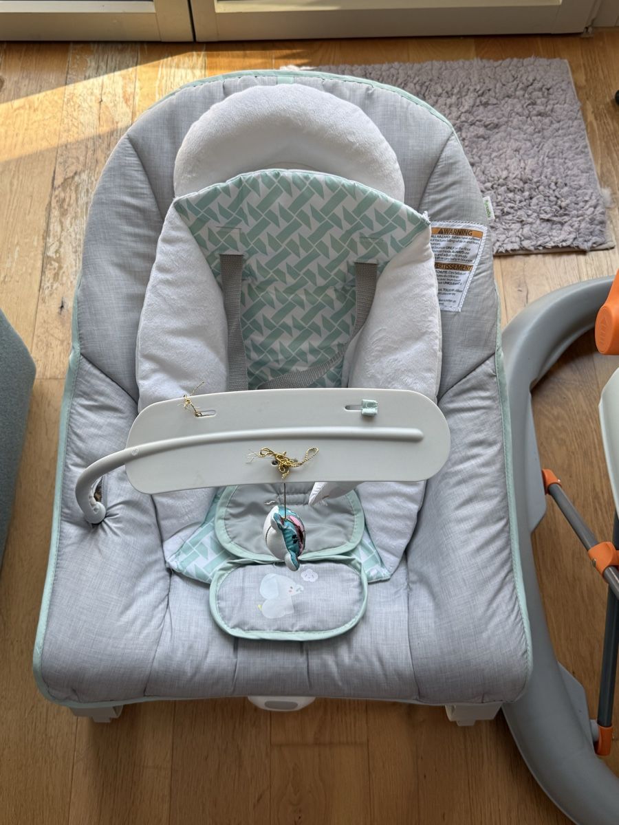 Sdraiette & Sdraiette a dondolo: Baby Rocker  Grey/Mint Good Condition – Usato da Zürich venduto da PetiteSeller 2