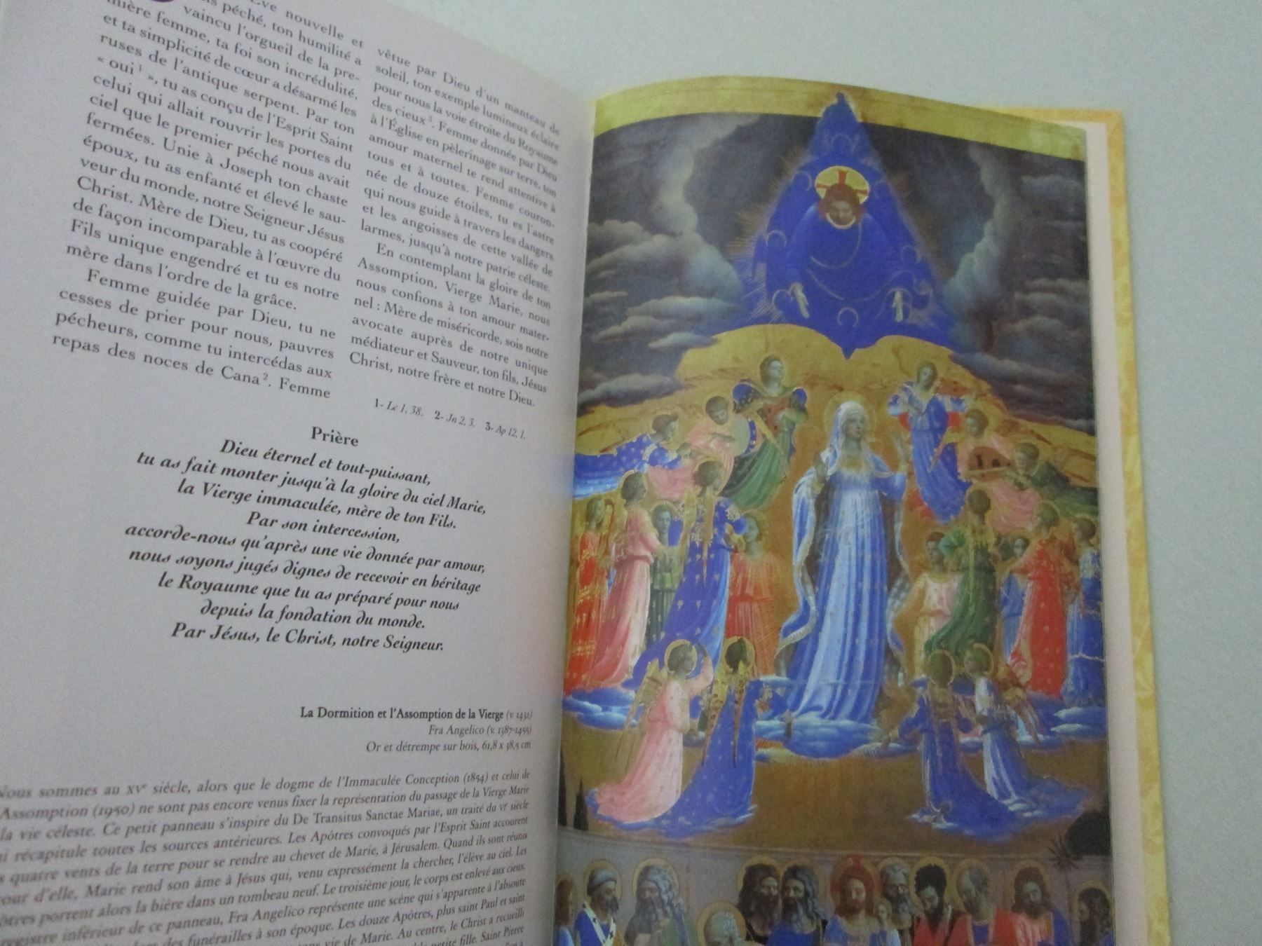 Libri: Splendeurs du Rosaire – Nuovo (secondo la descrizione) da Neuchâtel venduto da Dualseele 9