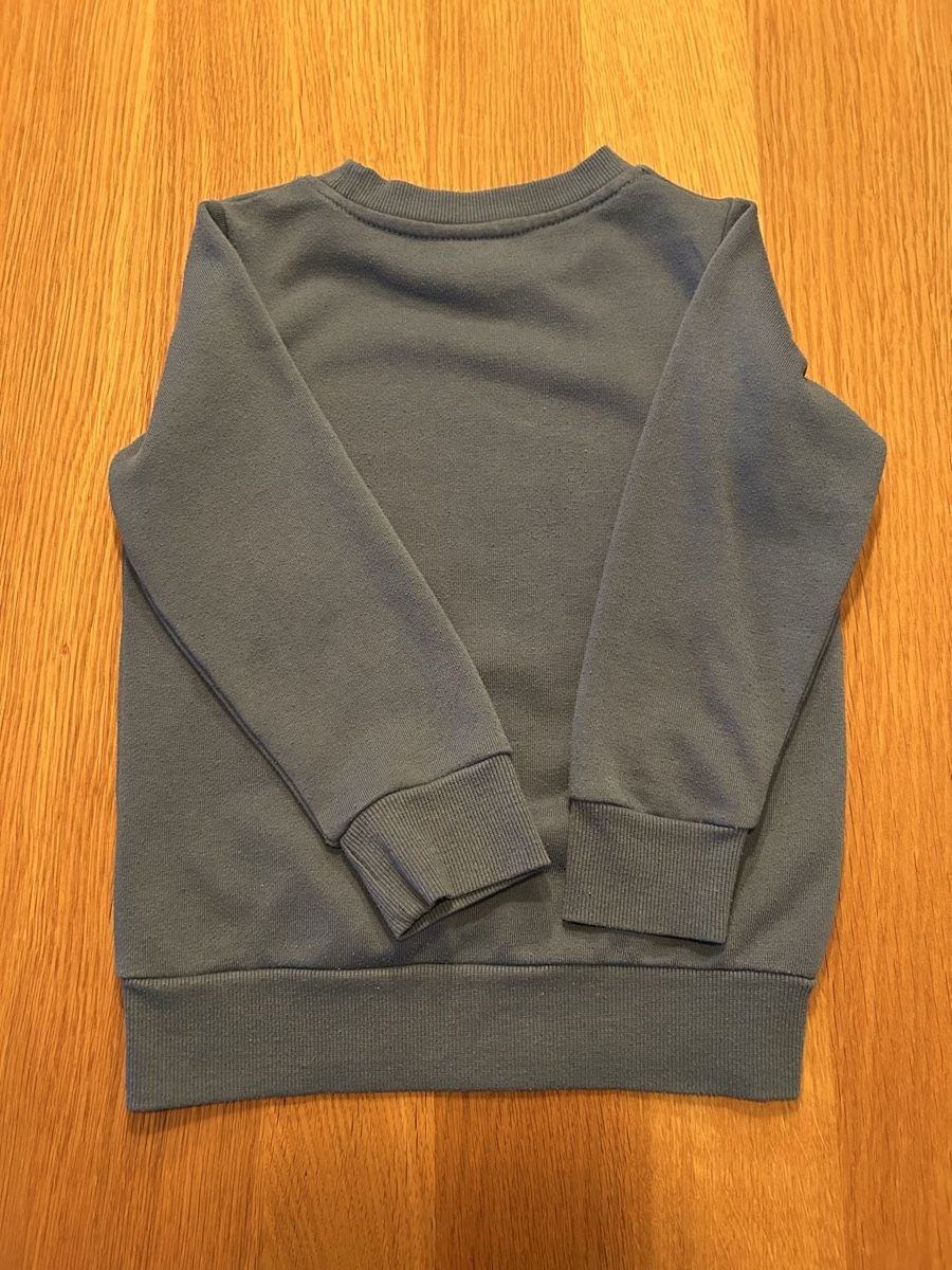 Pullover & Sweatshirts: Kinder Pullover Gr. 104 Blau mit Walmotiv – Gebraucht aus Schwarzenbach SG von bienchen22 1