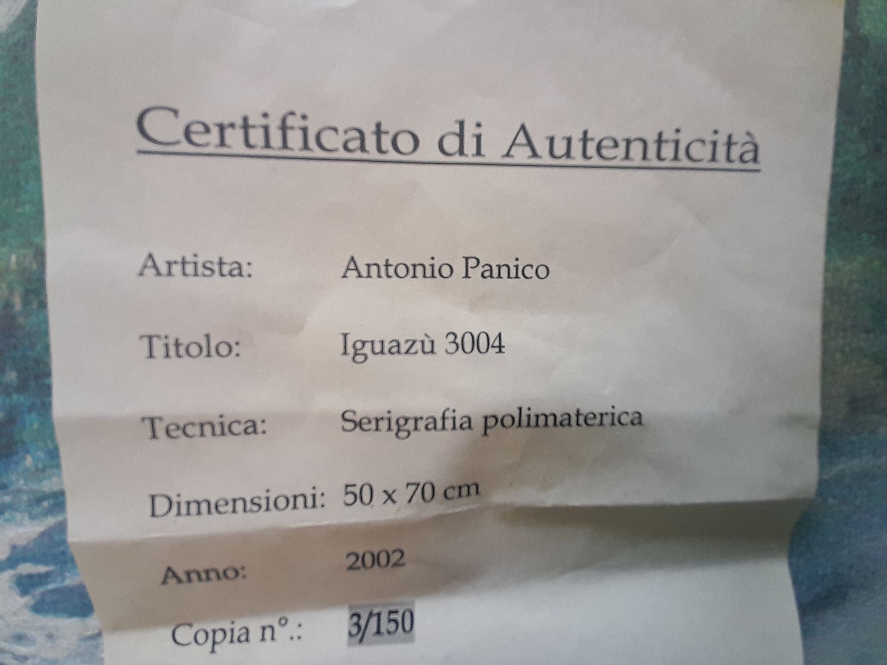 Grafica & Litografie: Antonio Panico, Iguazu – Nuovo (secondo la descrizione) da Rossrüti venduto da Hansi778 5
