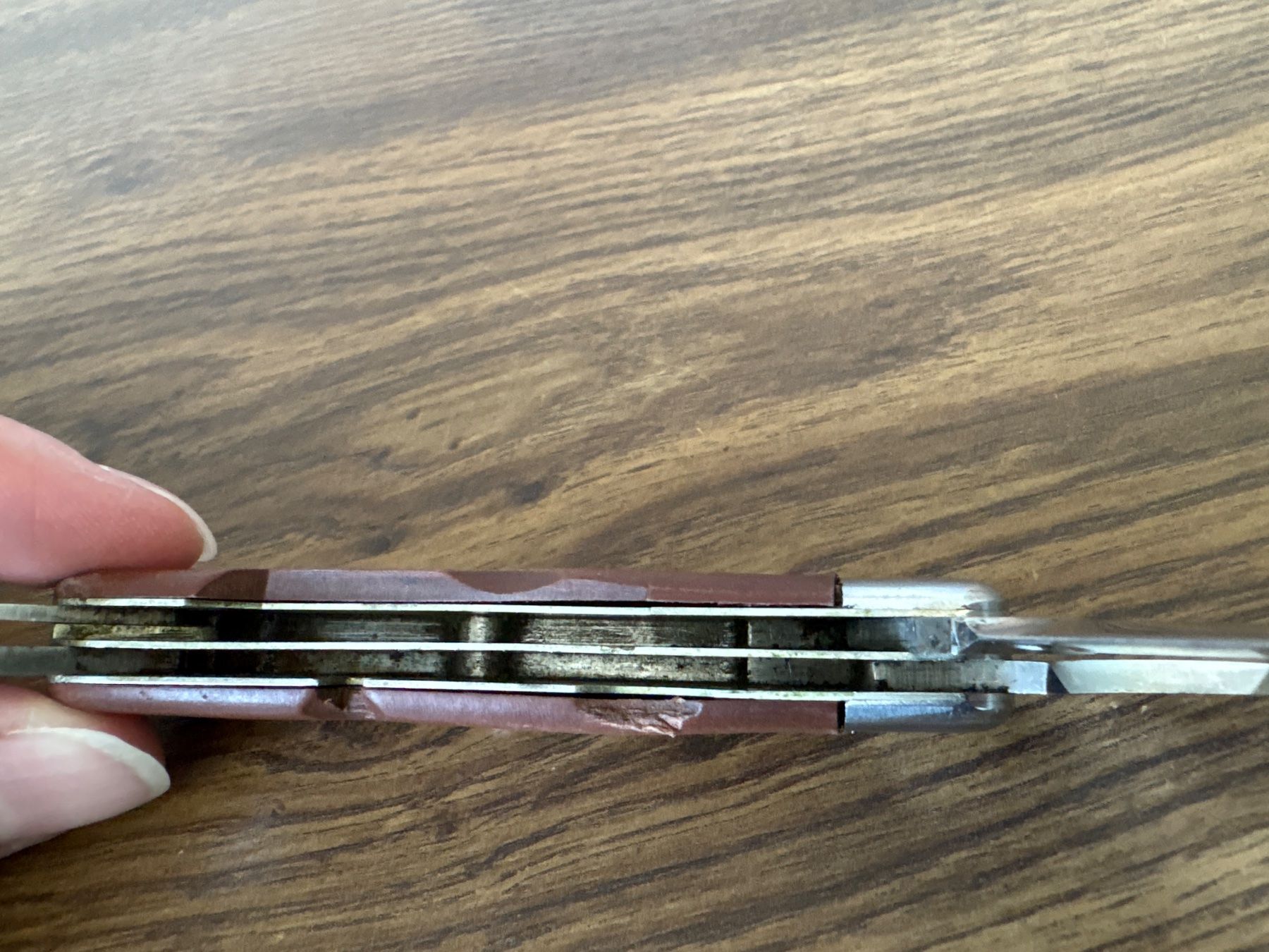 Wenger Coltelli tascabile: WENGERINOX - P - Armeesackmesser – Usato da Andwil SG venduto da Rainboli 7