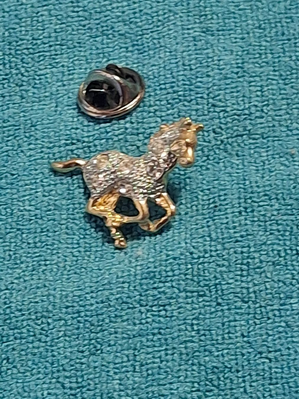 Broschen & Nadeln: Pin's cheval avec brillants - strass – Gebraucht aus Villiers von san_jn5w