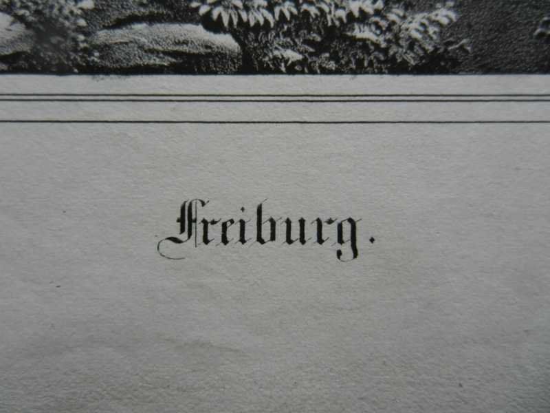 Incisioni: Fribourg Freiburg – Usato da Risch venduto da Rischli15 2