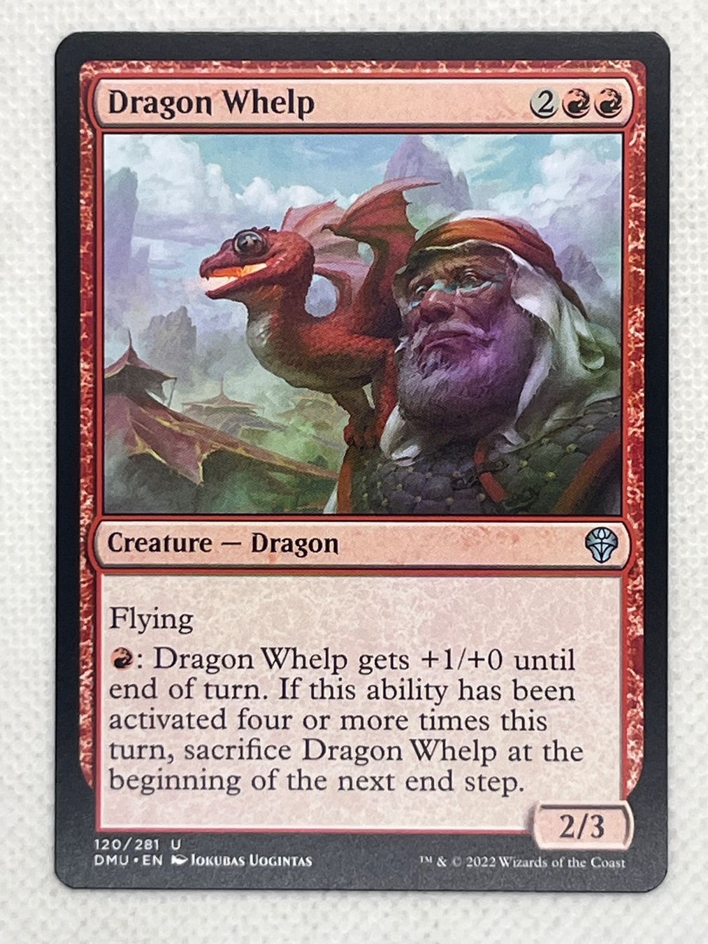Magic The Gathering Carte collezionabili: Magic The Gathering: Dragon Whelp, Rot, DMU! – Usato da Hinterkappelen venduto da Kim1992