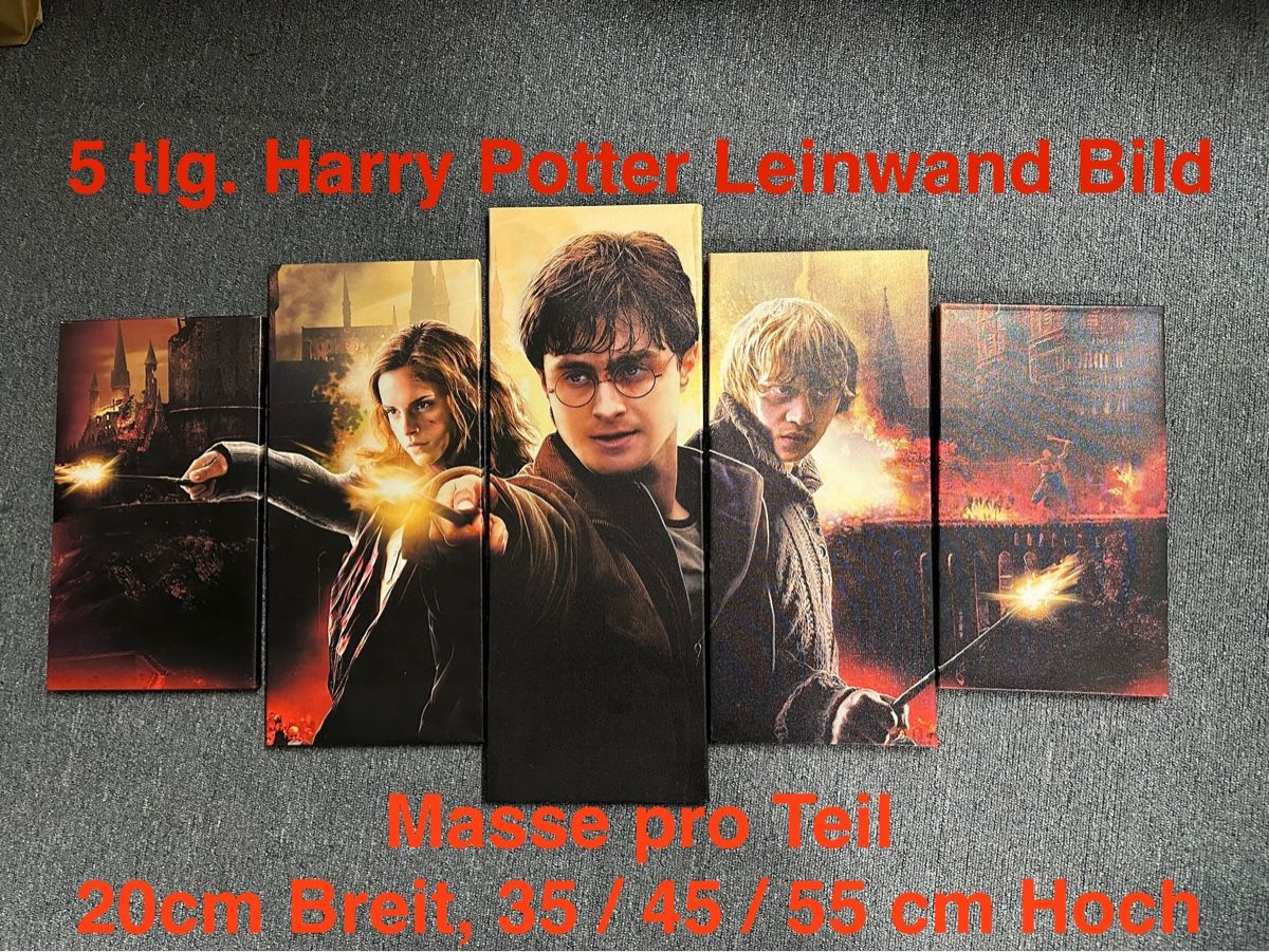 Poster & Bilder: Harry Potter Leinwand Bild 5 tlg. – Gebraucht aus Birr von clodi6