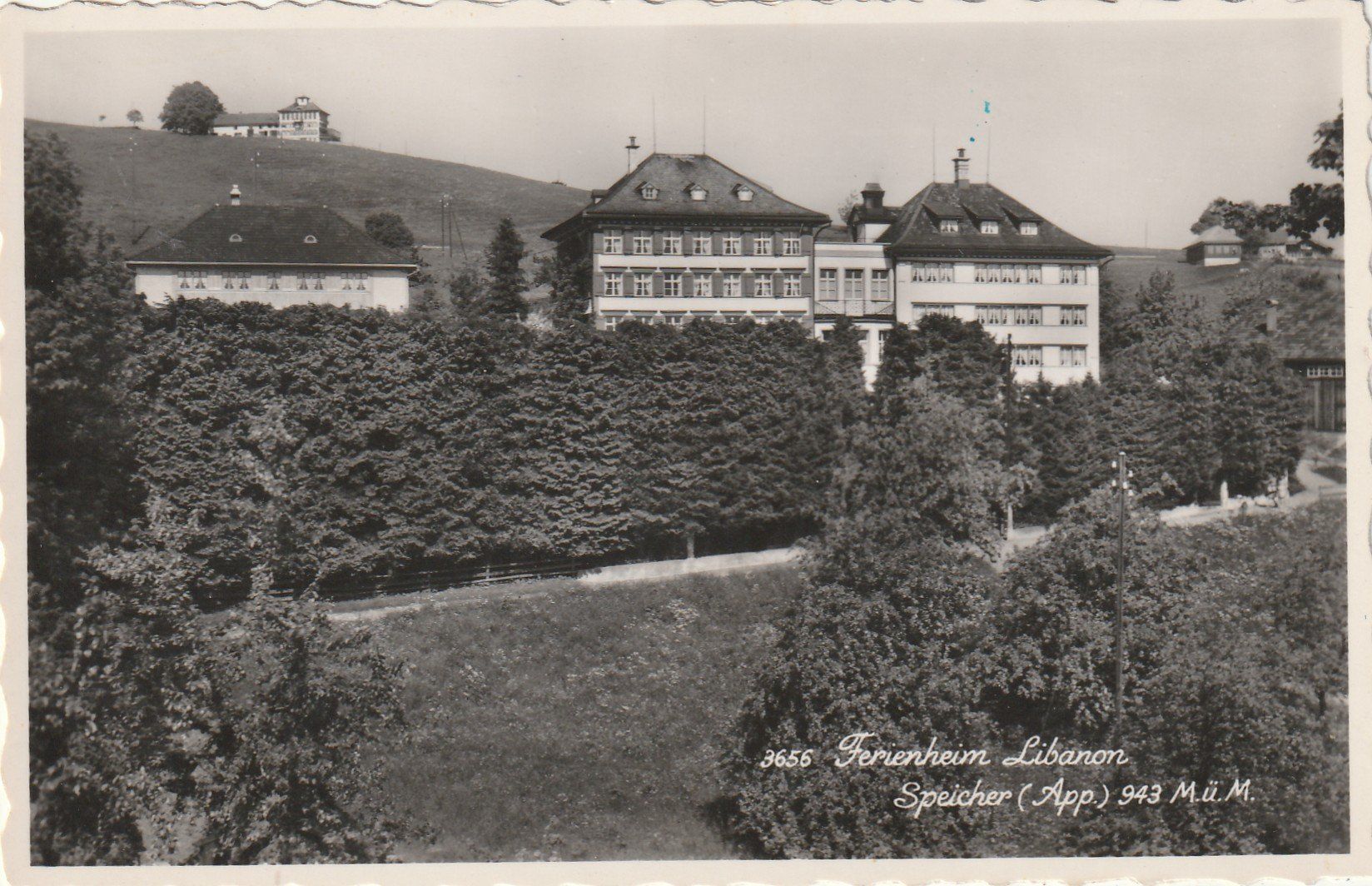 Cartoline postali: Speicher Ferienheim Libanon – Usato da Rorschacherberg venduto da fratovi2