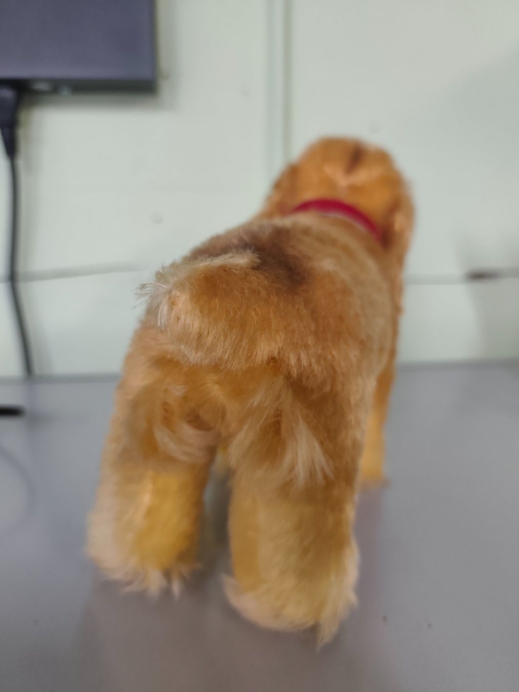 Steiff Giocattoli: Stofftier Steiff Hund " Cockie " – Usato da Goldswil b. Interlaken venduto da troedlermarkt-goldsw 3
