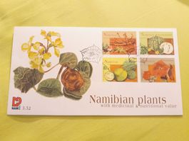 Namibie : Plantes Médicinales et Nutritionnelles, Neuf!