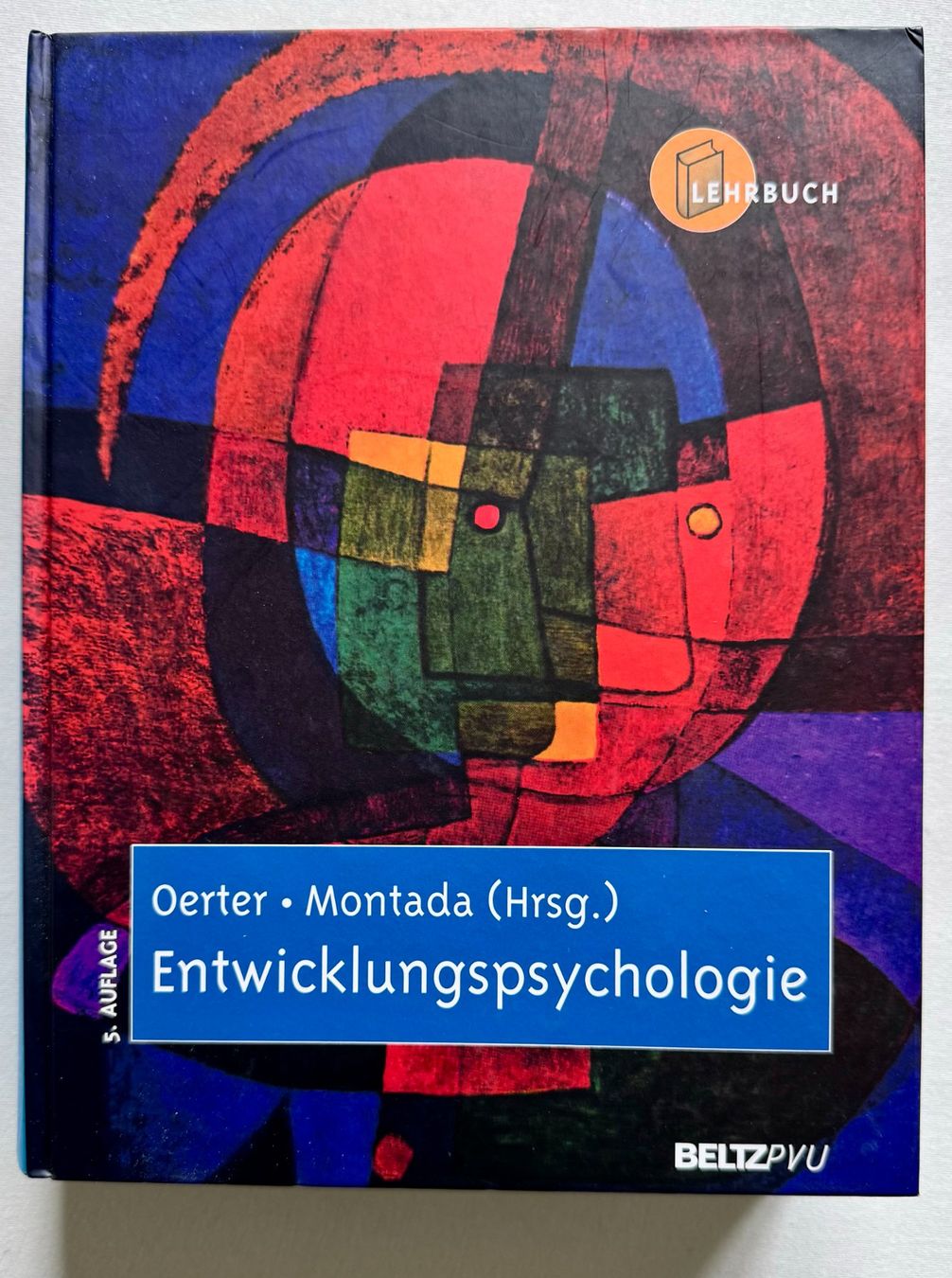 Libri: Entwicklungspsychologie 4 Studienbücher – Usato da Riedholz venduto da madeleine512 2
