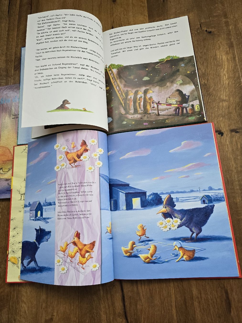 Libri: bücher set – Usato da Wittenbach venduto da Tigerlili 4