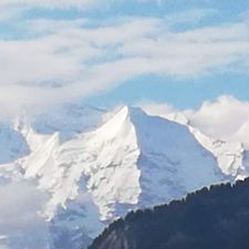 Profile image of BeO-Silberhorn
