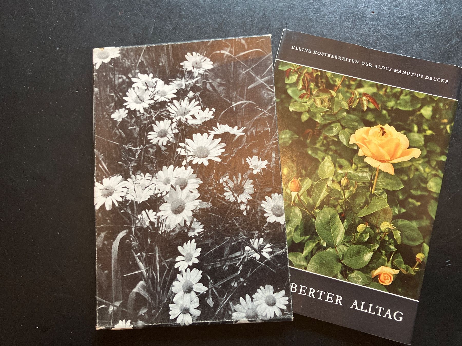 Libri: Verzauberter Alltag, H. Walter – Usato da Wangen ZH venduto da day01