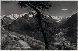 GR 74 Palü u. Roseg-Gruppe vom Höhenweg 1956 25 Rp Einzelfr.