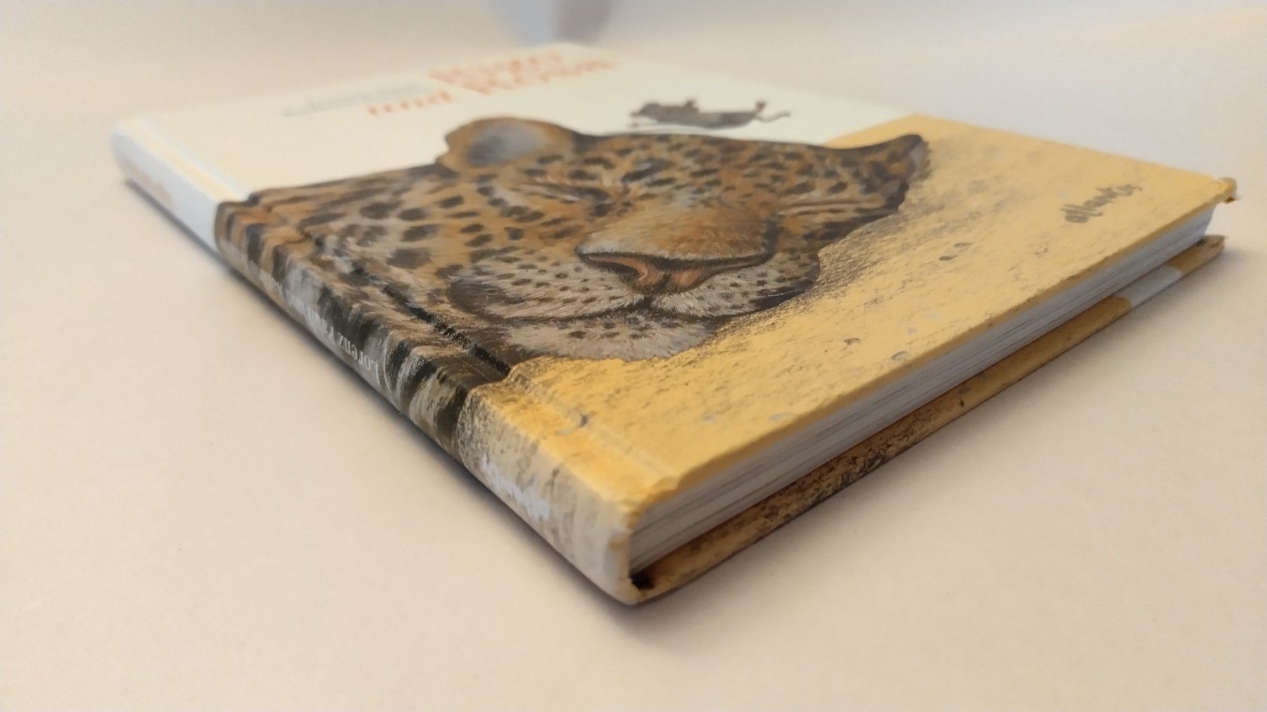 Libri: Rosa Maus und Rigo Leopard / Lorenz Pauli + Kathrin Schärer – Usato da Bellach venduto da JingleJerry 1