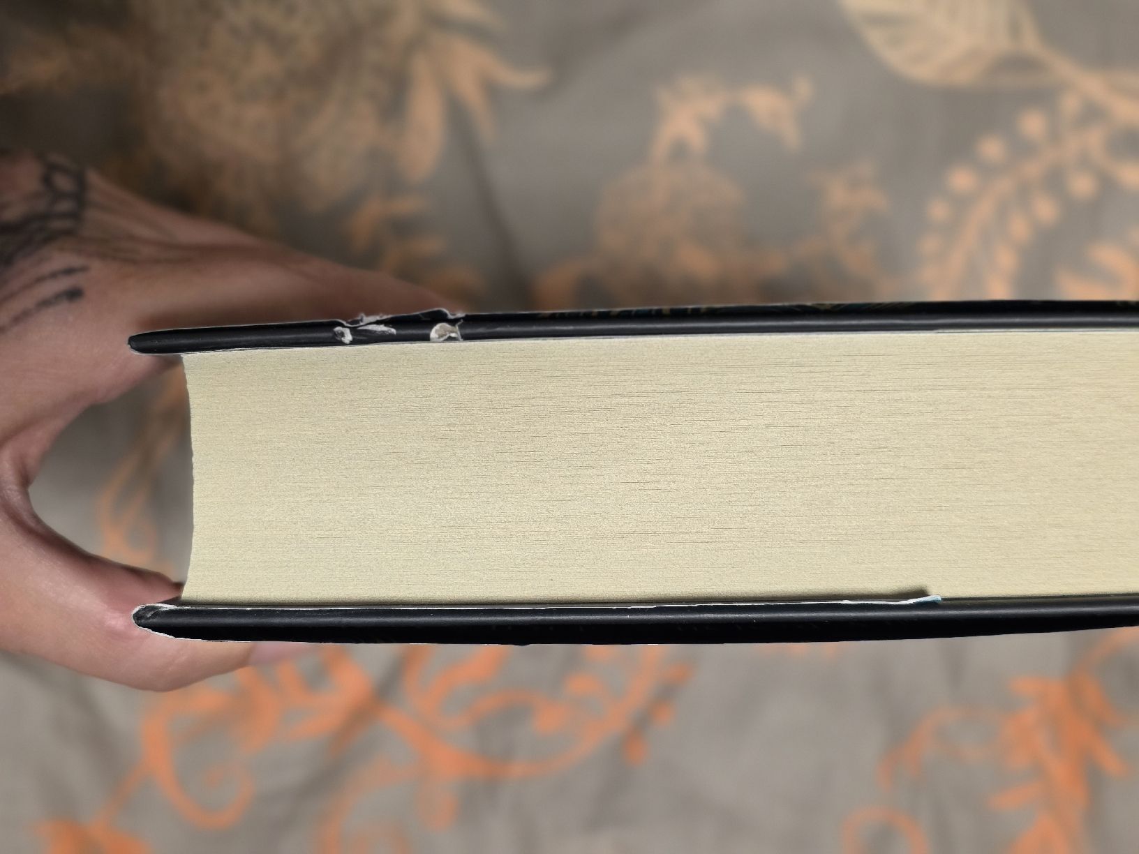 Libri: Fairyloot Fallen Stars signiert – Nuovo (secondo la descrizione) da Erlen venduto da Noloka_green 7