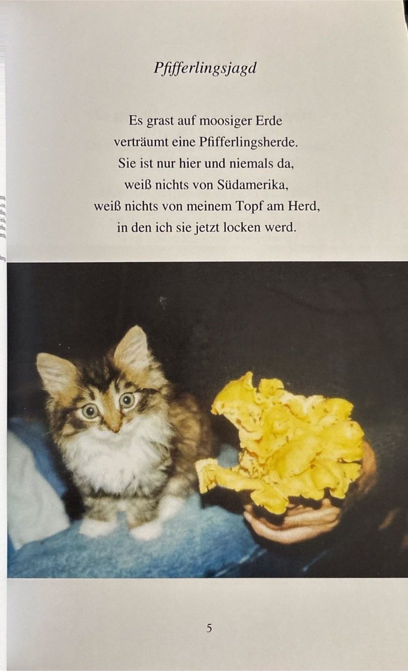 Libri: Bethke Axel, Schmunzel-Kramkiste – Nuovo (secondo la descrizione) da Sarnen venduto da Livres 3