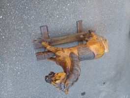 Antikes Schaukelpferd