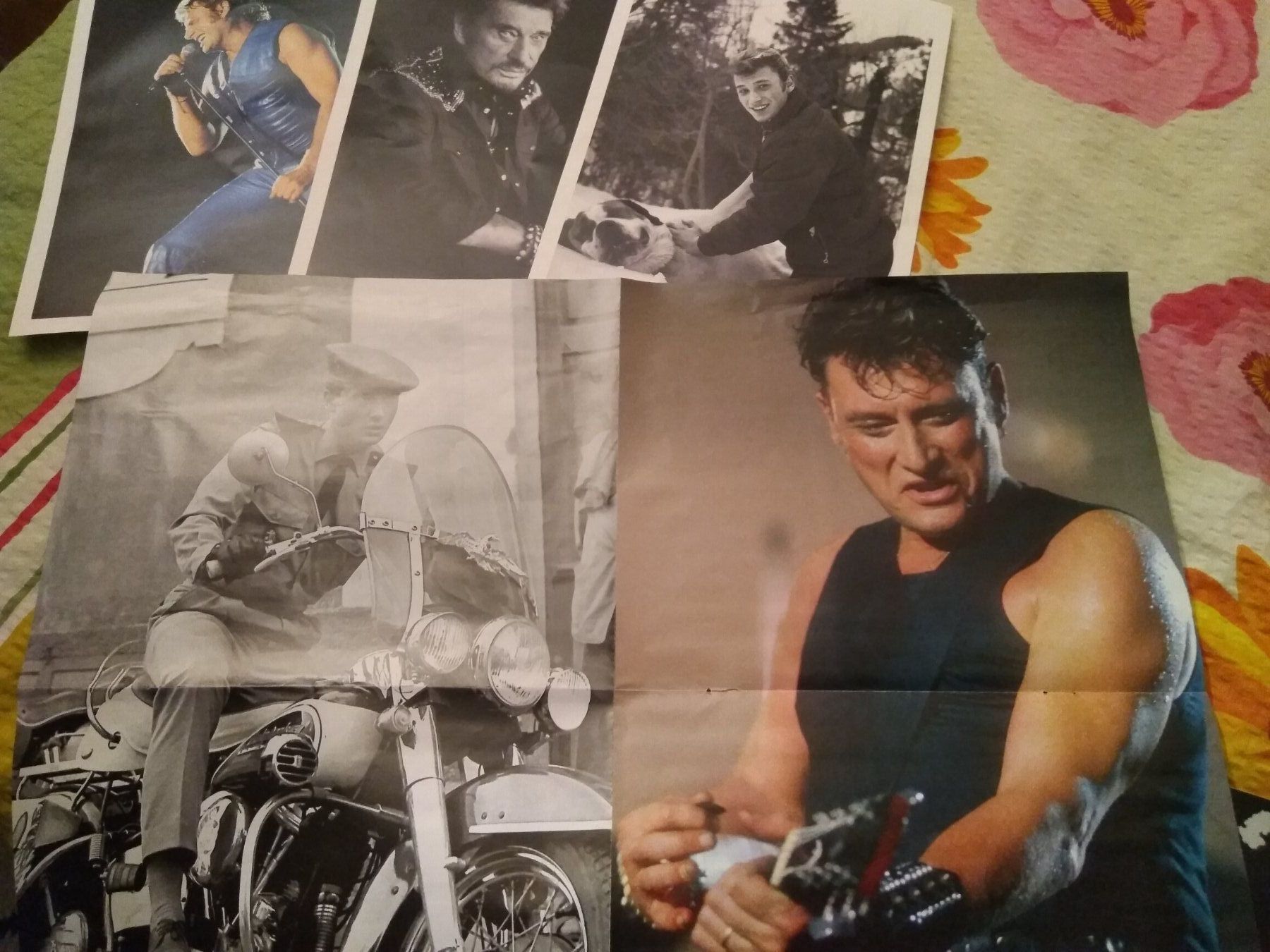 Tutti i DVDs: Pour Fan de Johnny Halliday – Nuovo e nell'imballaggio originale da Pompaples venduto da vab_s52h 4