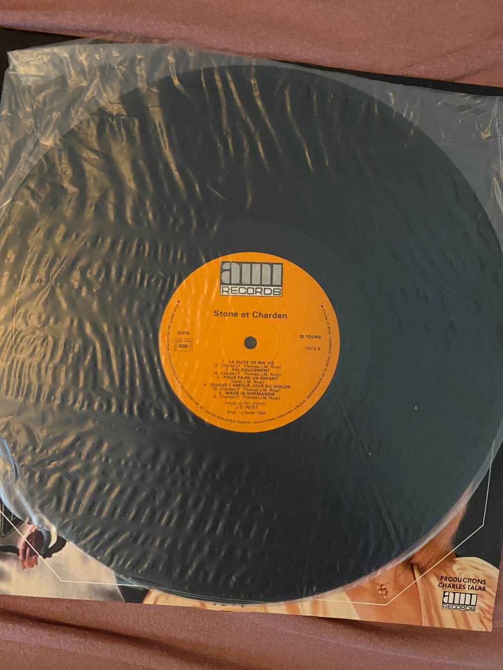Dischi in vinile: LP – Usato da Dietlikon venduto da Nicokh 1