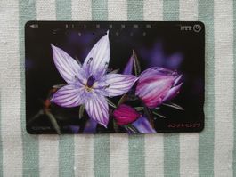 NTT Telefonkarte - Taxcard - aus Japan - M13