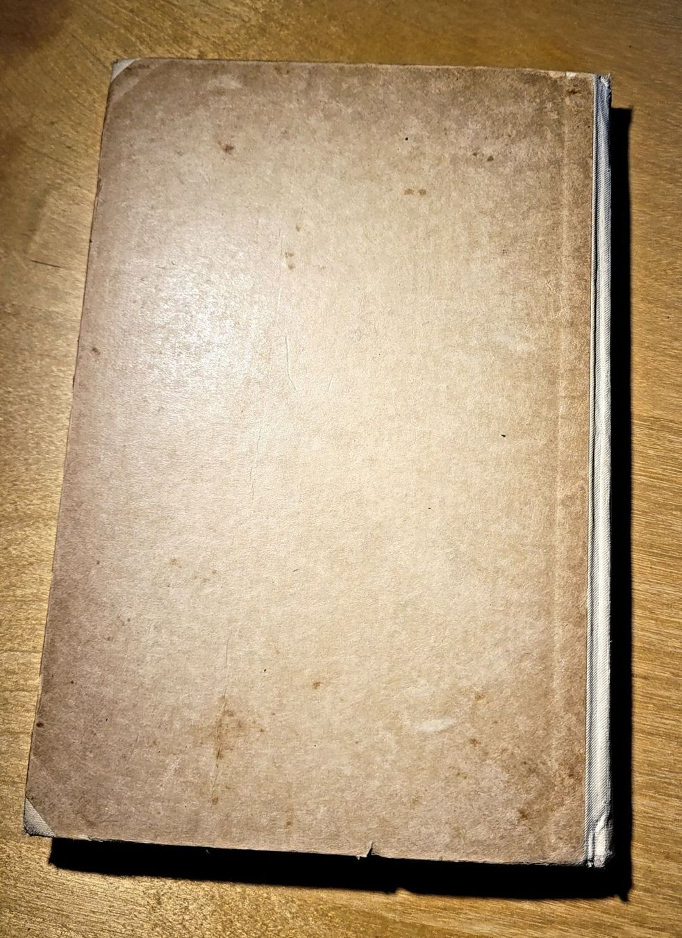 Libri: Muhme Rehlen - Buch antiquarisch – Usato da Schaffhausen venduto da robuco 3