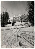 Amden, Skilift LEISTKAMM, gelaufen 1962