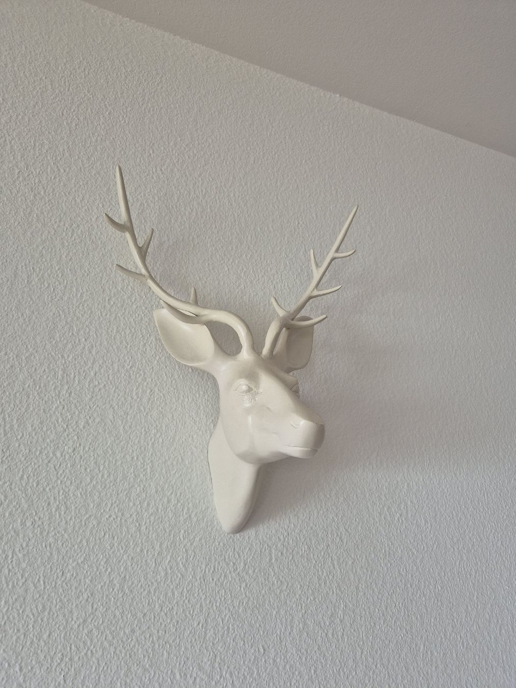 Tutte le decorazioni: Deer Head Wall Mount Decor - metal – Usato da Zürich venduto da mrs_kz6n 1