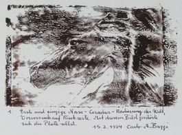 Pferdekopf - Nassradierung ab Ceradur, Carlo A. Buzzi, 1984