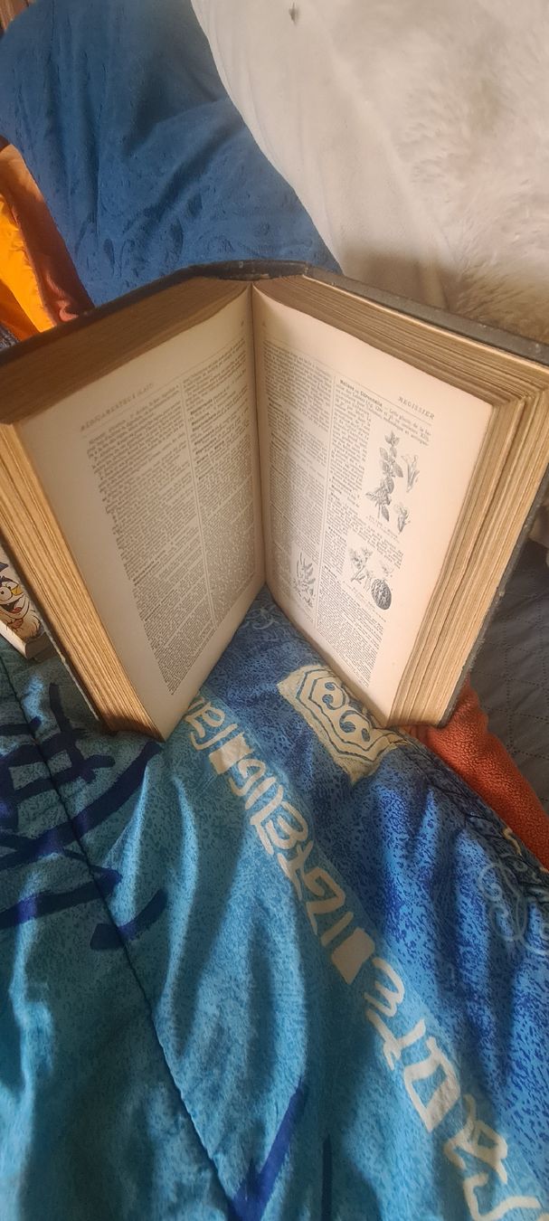 Libri: Buch Larousse médicale illustré – Usato da Bellerive VD venduto da Hermes5 5