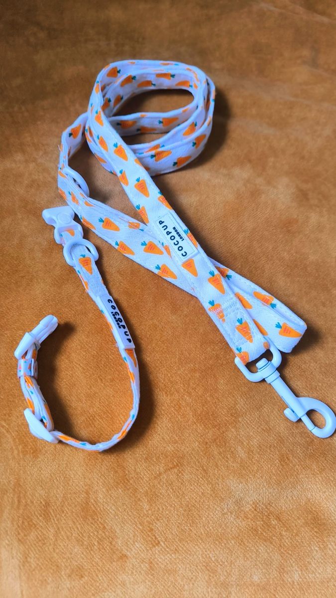 Leine & Halsband: Hundeleine – Neu (gemäss Beschreibung) aus Seuzach von laj_p6gj 2