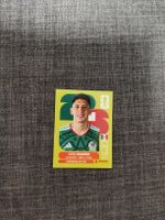 Panini MEX 10