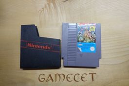 The Adventure Island Part II