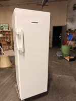 Gefrierschrank Liebherr BluPerformance weiss guter Zustand