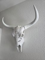 Büffelschädel Skull weiss, guter Zustand
