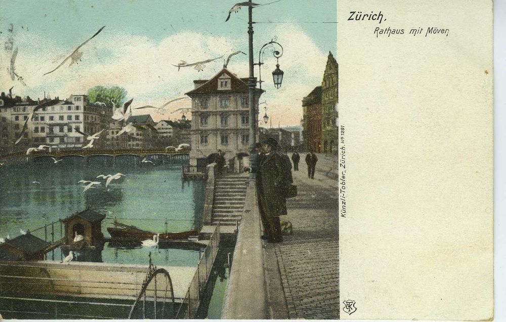 Zürich Rathaus mit Möven 1905 Kaufen auf Ricardo