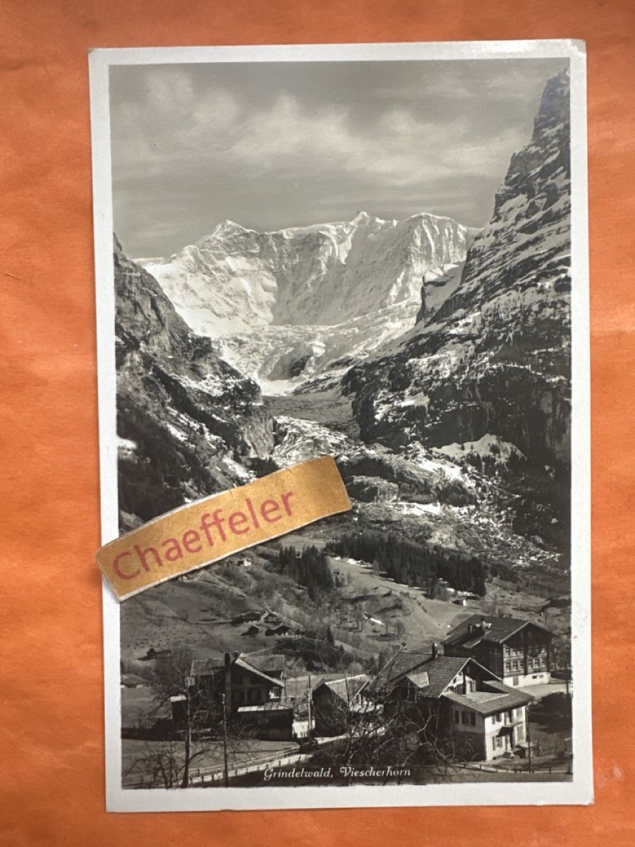 Cartoline postali: Alte Ansichtskarte Grindelwald, Viescherhorn, ca. 1950. – Usato da Zürich venduto da Chaeffeler