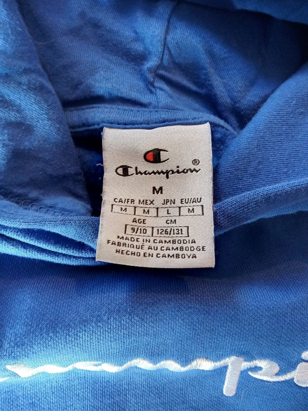 Champion Pulls et sweat-shirts: NEU Champion Pulli Kinder – Neuf (Voir description) à Rehetobel par Modi98 1