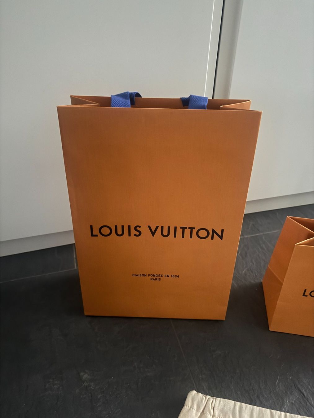 Borse: LOUIS VUITTON Set 2 Tüten und Beutel – Usato da Bonstetten venduto da VCLS 2