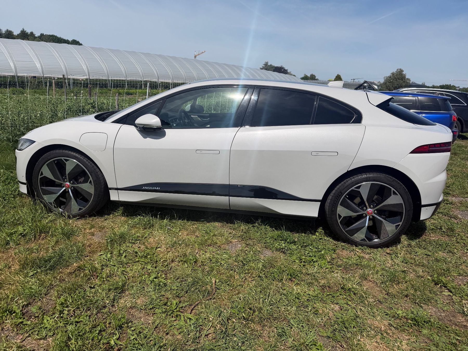 Jaguar Automobili: Jaguar I-PACE EV400 SE AWD – Usato da Opfikon venduto da Gomborix 3