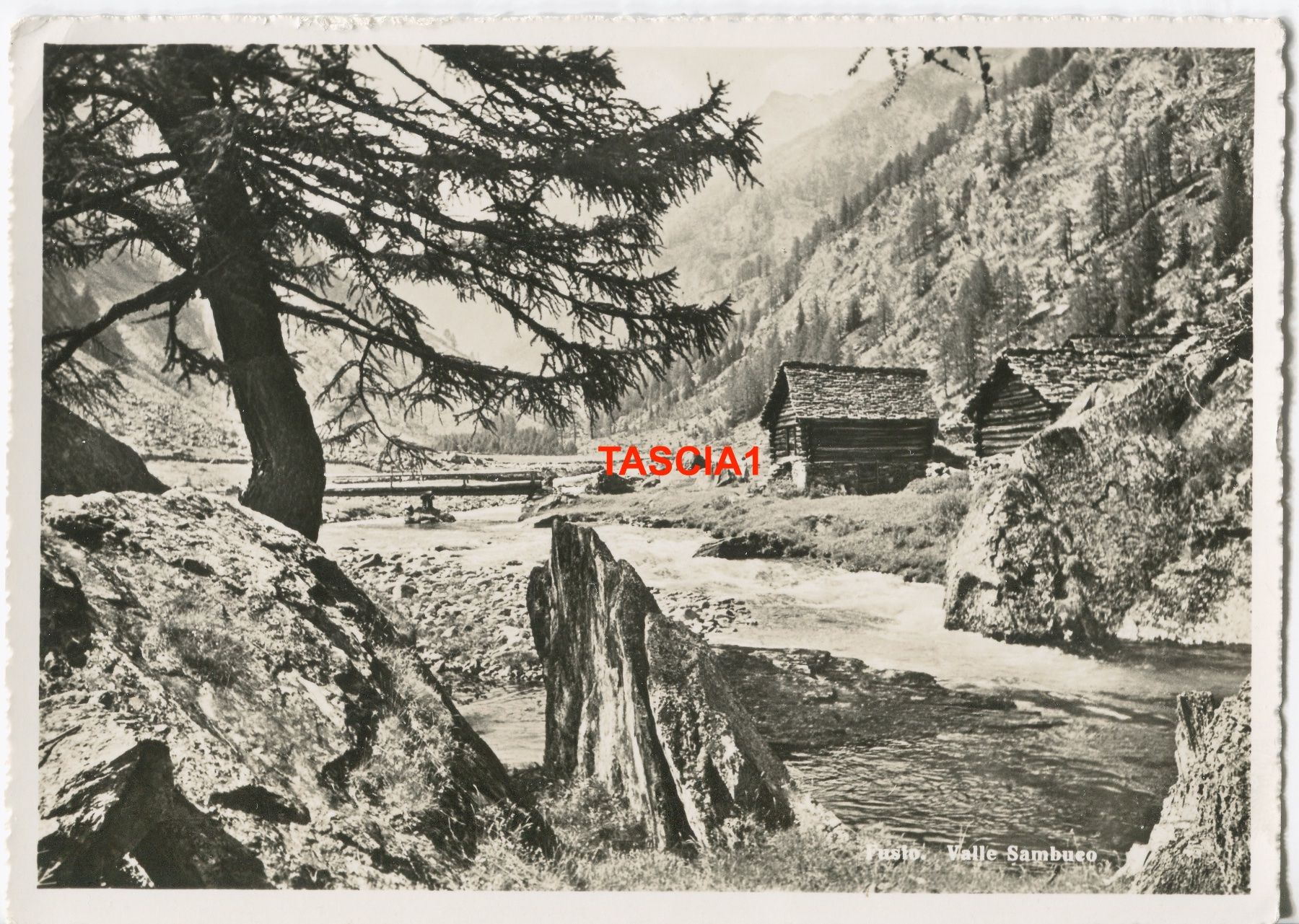 Ansichtskarten: Fusio Val Sambuco – Gebraucht aus coglio von Tascia1