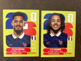 Panini FRA 4 und 5 Frankreich