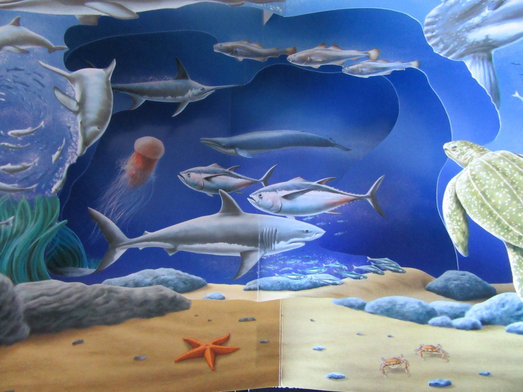Libri: Pop - Up Buch Scenari 3D Oceani – Usato da Rüdtligen venduto da Carfield04 3
