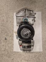 Puch Maxi Motor kein Sachs Belmondo Piaggio