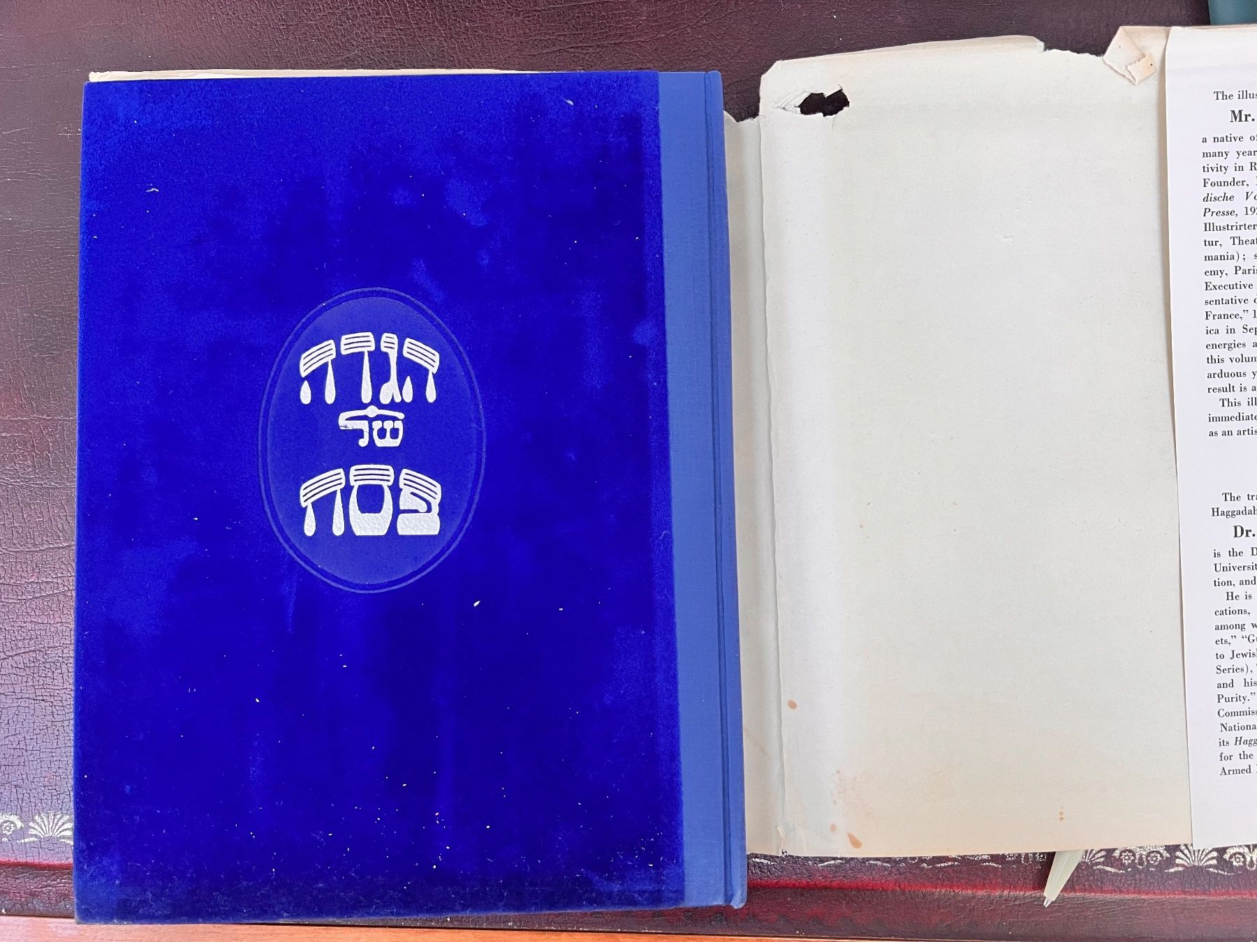 Libri: Judaika Passah Haggadah Israel – Usato da Emmenbrücke venduto da Balmoral 2
