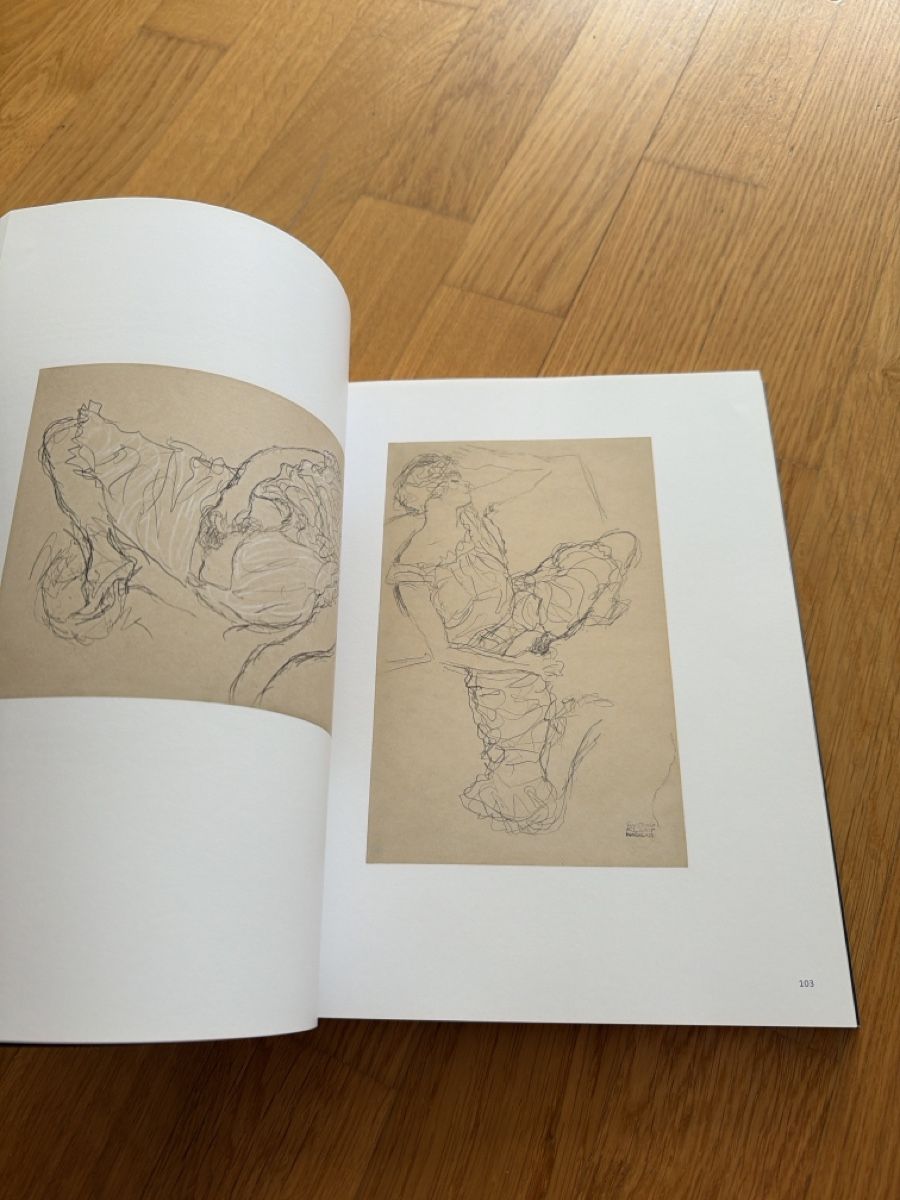 Libri: Kunstbuch Klimt – Usato da Luzern venduto da met_b7bf 3