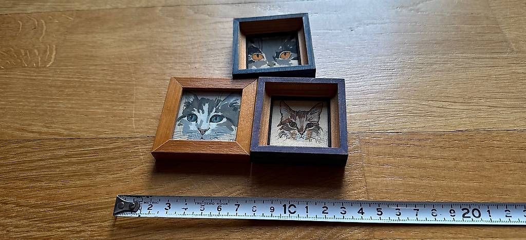 Foto & Immagini: 3 Original Katzenbilder – Usato da Basel venduto da Joshy03
