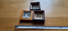 3 Original Katzenbilder